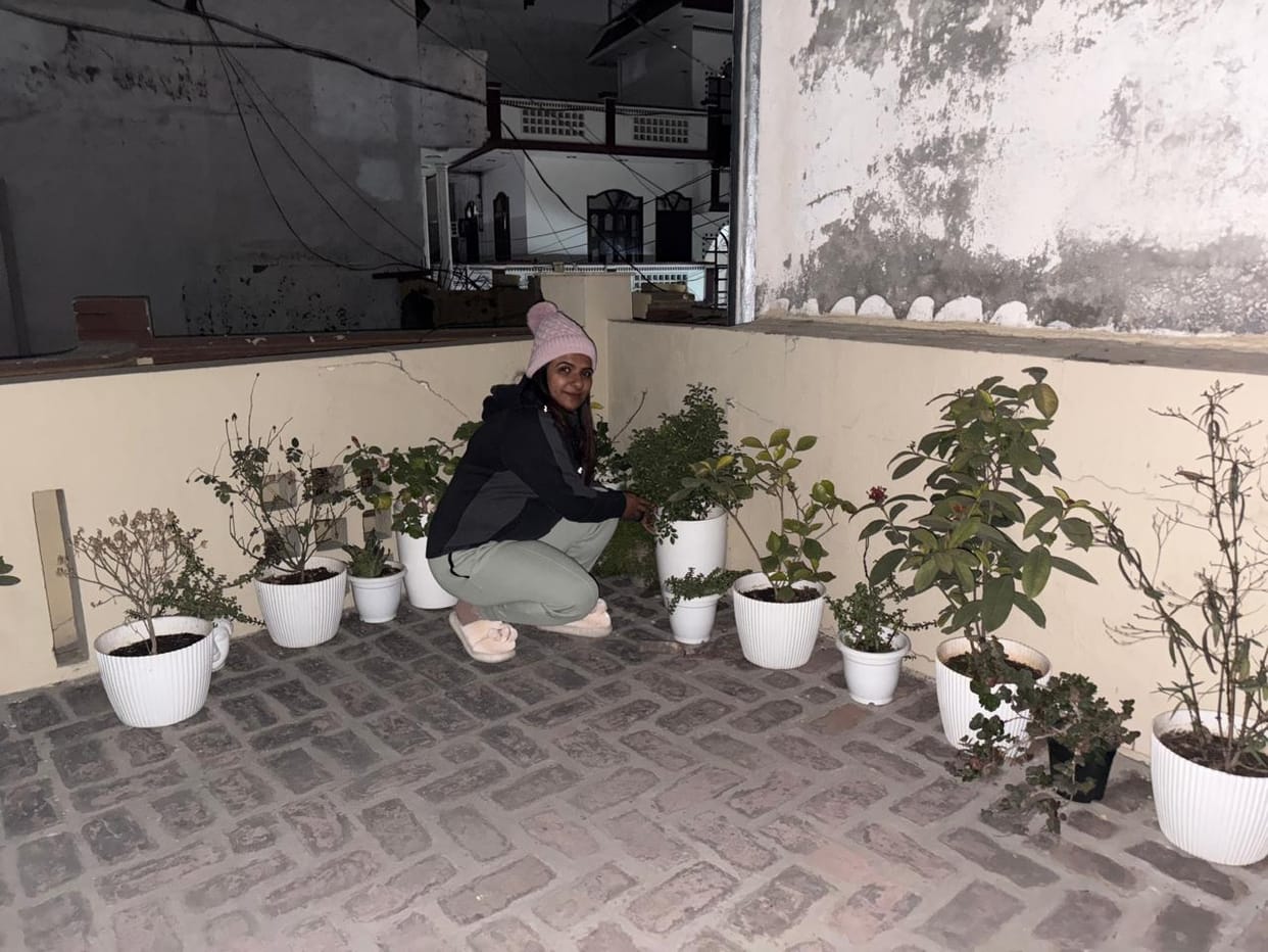 My garden...the greenery on the rooftop, the fragrance of garlands and tuberose filled the house.