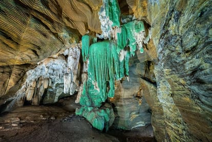 Cg Toursim: Unique Green Cave Found In Kanger Valley, New Doors For Tourism To Open Soon - Raipur News - Cg News:कांगेर घाटी में मिली अनोखी ग्रीन गुफा, जल्द खुलेंगे पर्यटन के