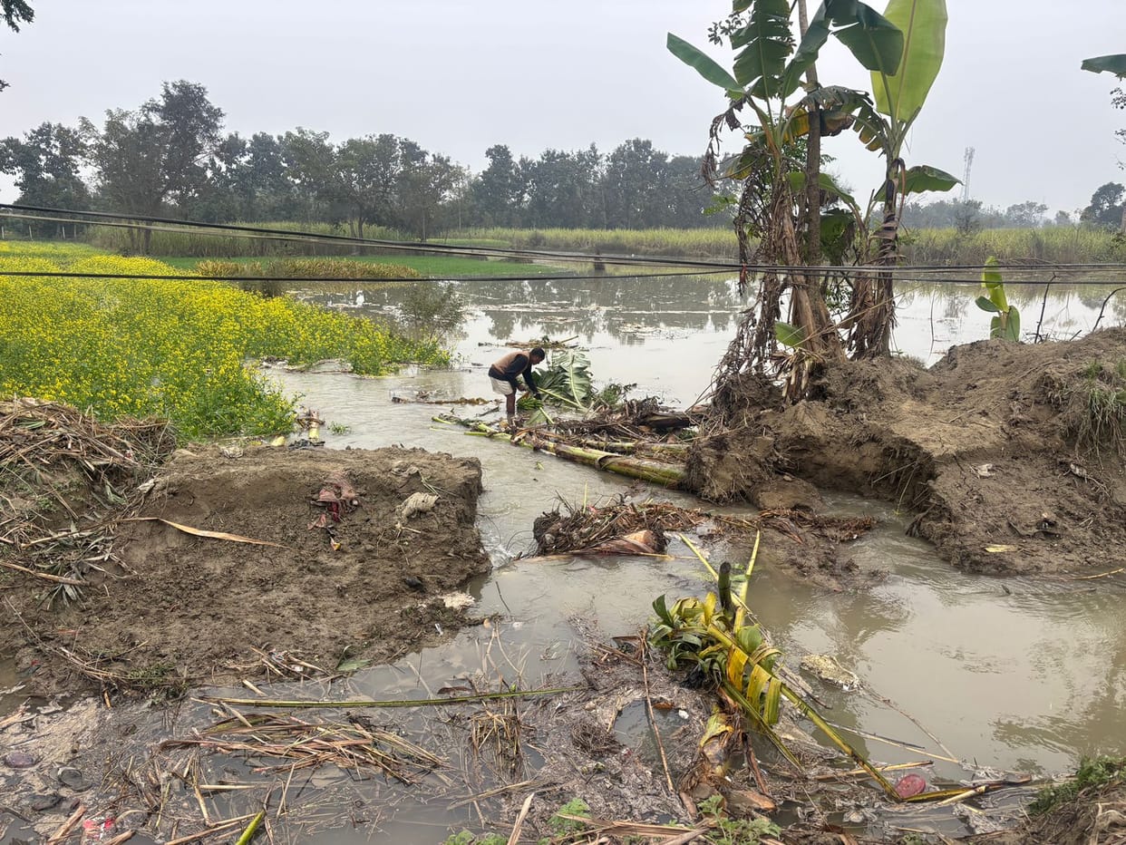 The Kurmaul canal has broken, crops are submerged, and farmers are distressed.