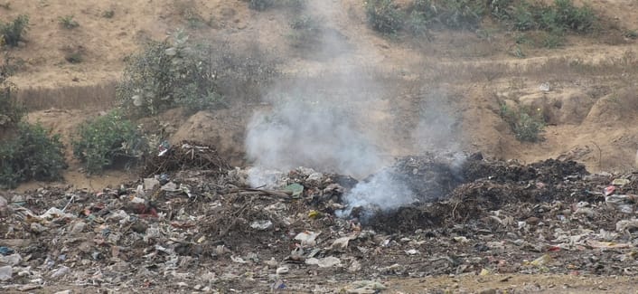 Green belt greenery is burning in garbage