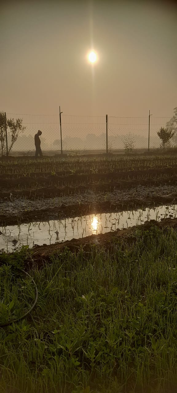 The maximum temperature dropped by two degrees in 24 hours, causing havoc due to the melting.
