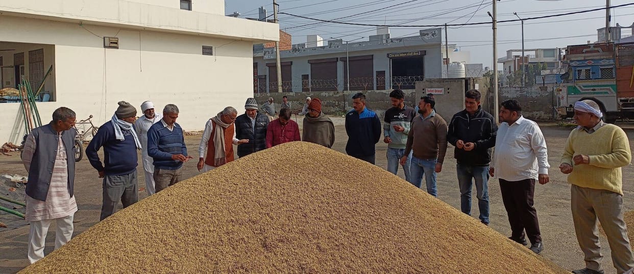Paddy is coming in the market more than last year