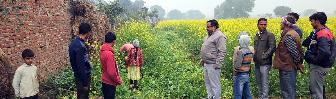 Farming was being done on the Chak Marg for 40 years