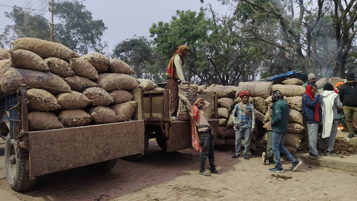 The price of potatoes has fallen by 108 rupees per quintal in four days.