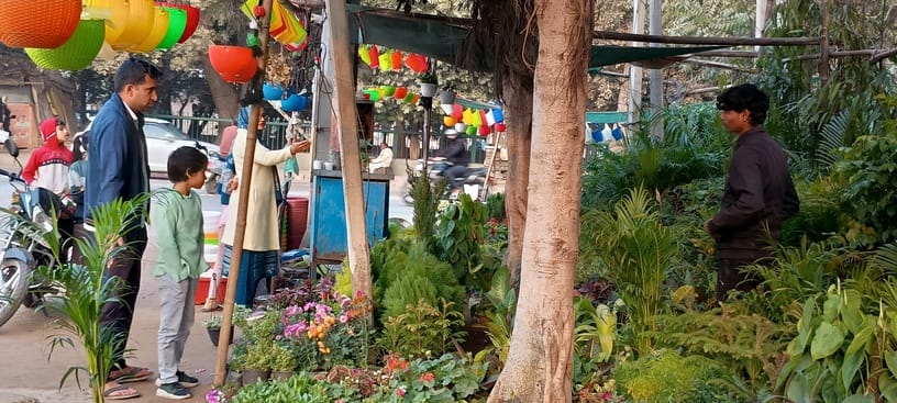 Demand for seasonal plants has increased, with nurseries selling 70 to 100 plants daily.