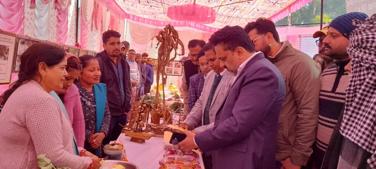 Farmers, gardeners and youth learnt modern agricultural techniques.