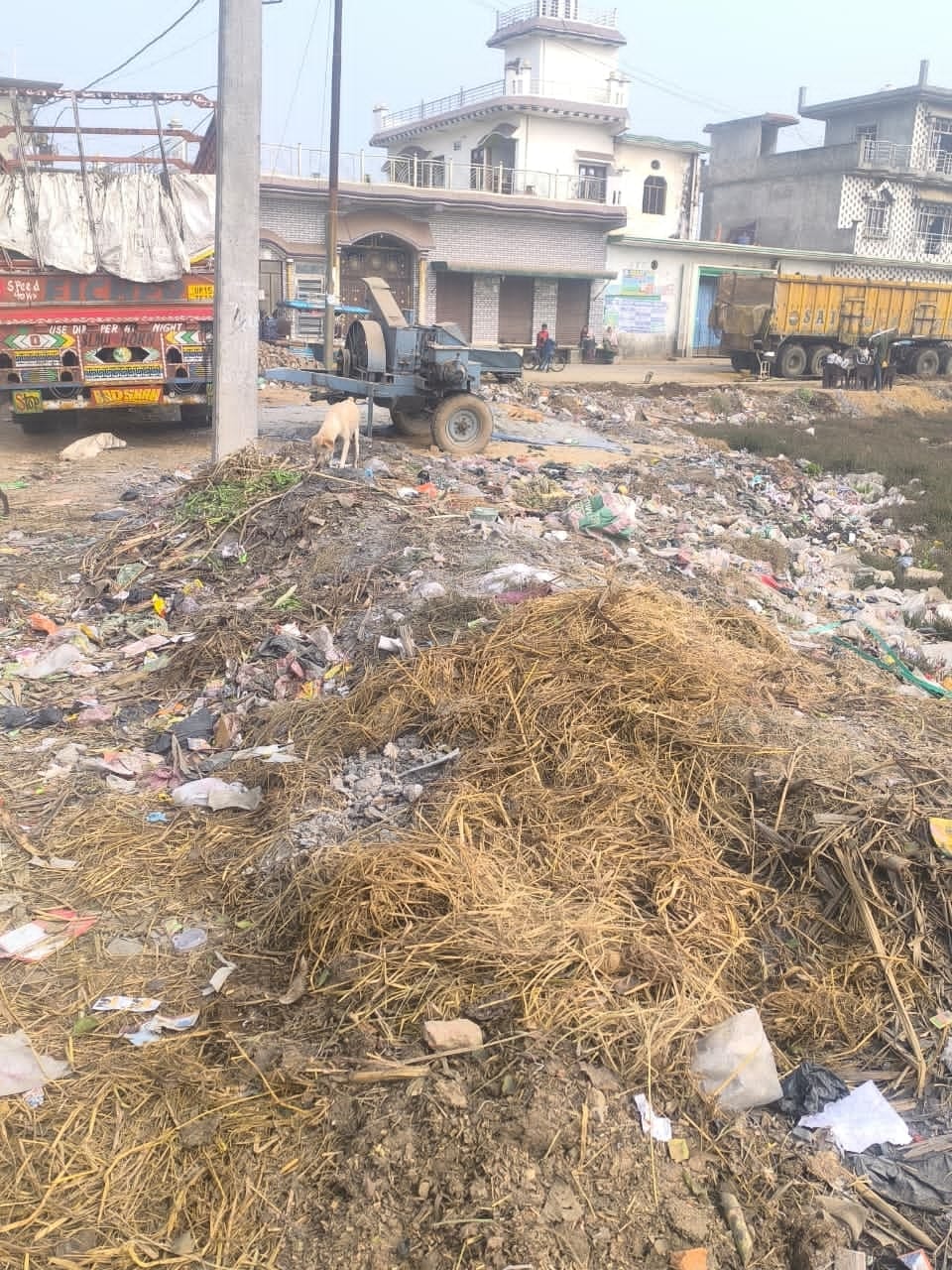 Complained about the poor condition of ponds in Pitlokar
