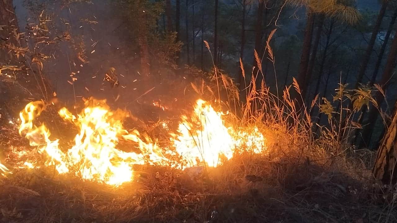 जखोली में मयाली के पास आग से धधकता जंगल - संवाद