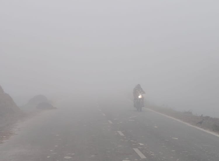 Bihar News: पश्चिम चंपारण में ठंड और कोहरे का कहर, जनजीवन ठप; बढ़ा प्रदूषण और स्वास्थ्य का खतरा