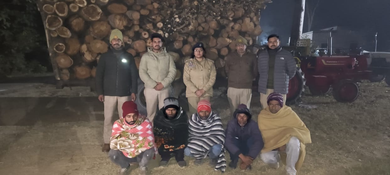 Five accused of banned wood cutting gang arrested