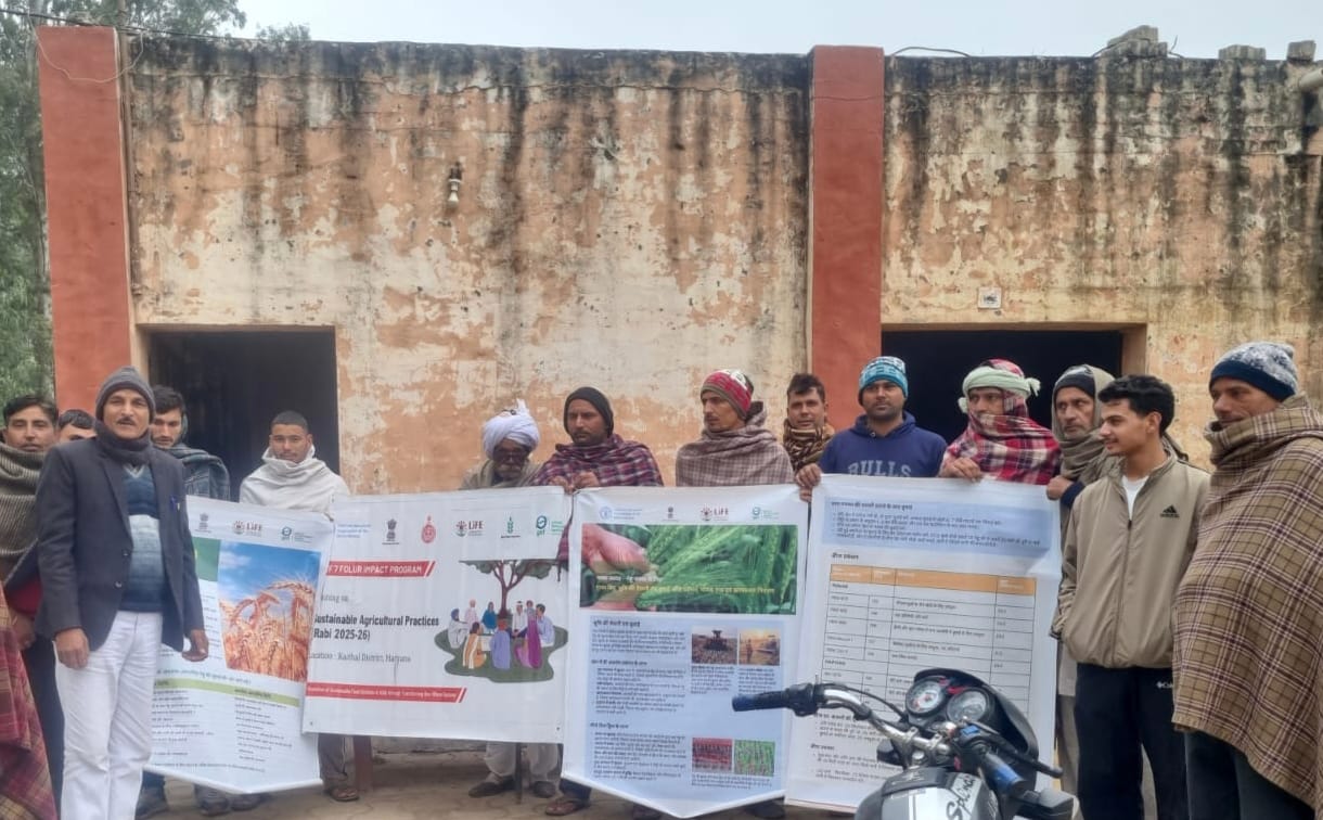 Information given about sowing wheat using Triple Ace method