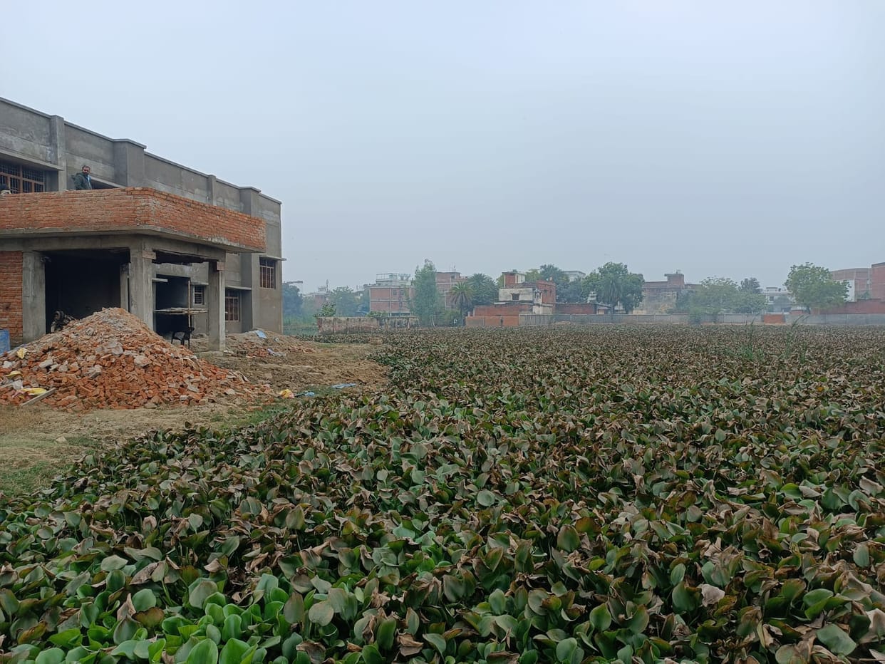 Waterlogging halted the construction of the stadium; three letters had to be written to get a drainage system built.
