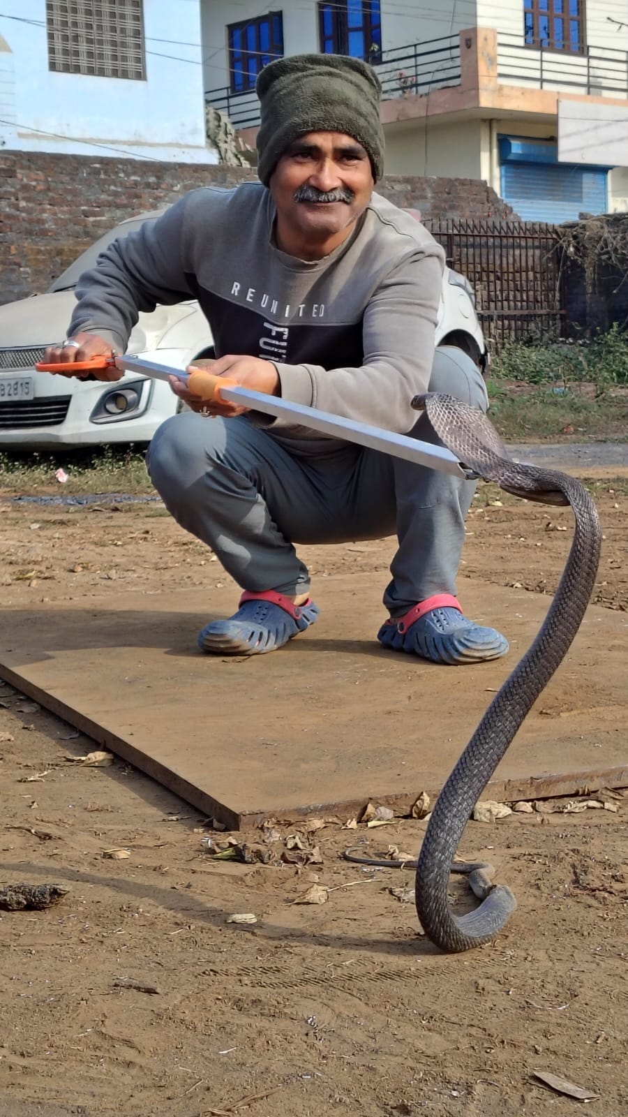 The snake was caught and released into the forest