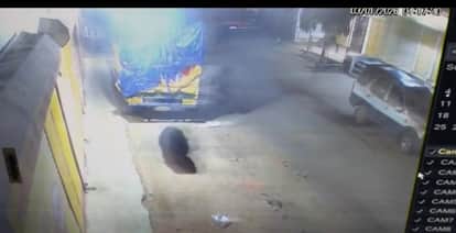 Claims of surveillance fall flat bear in Shahdol once again stole crisps from a cargo vehicle caught on CCTV