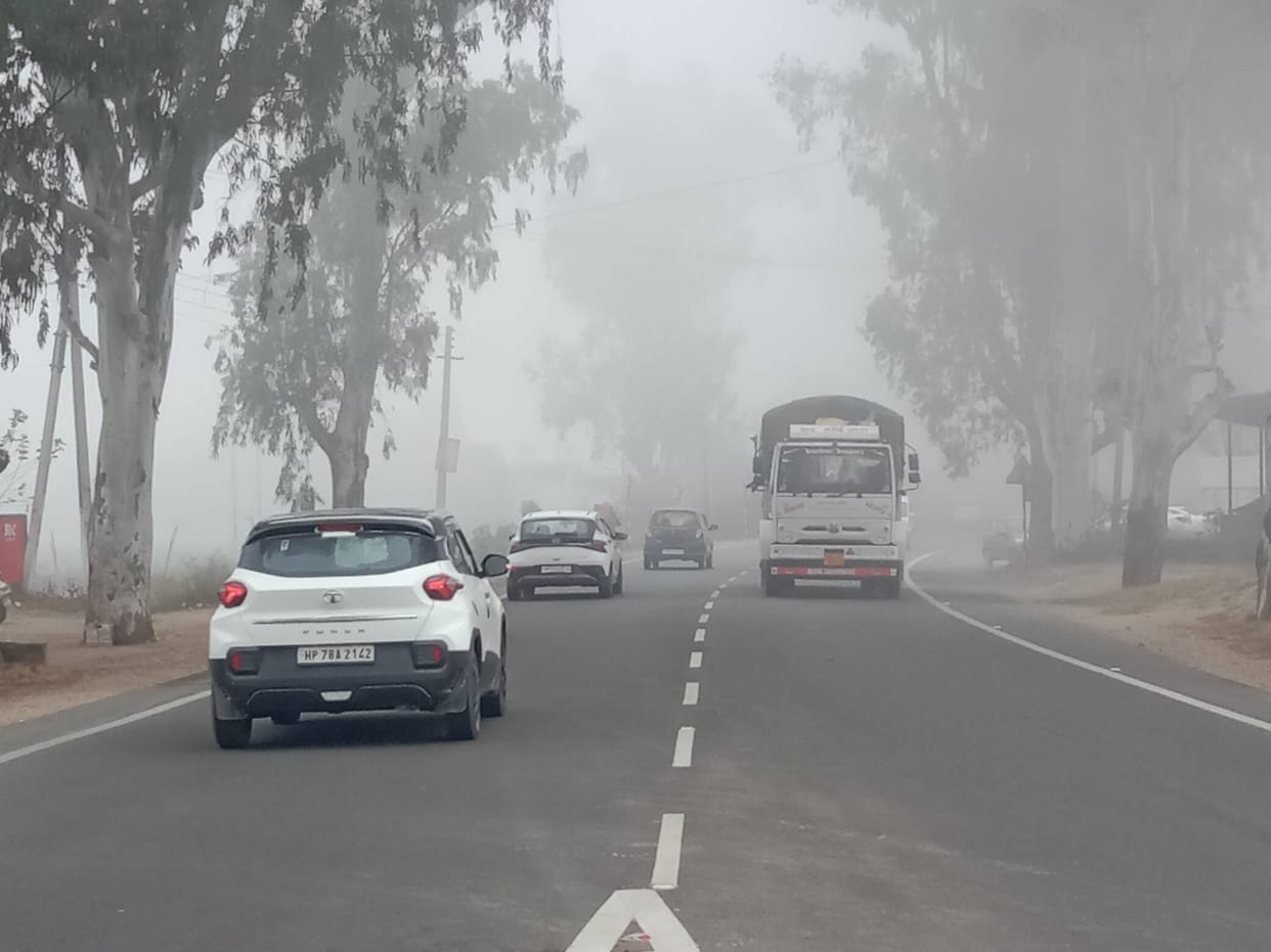 Dense fog and cold winds wreak havoc, visibility reduced to 20 metres