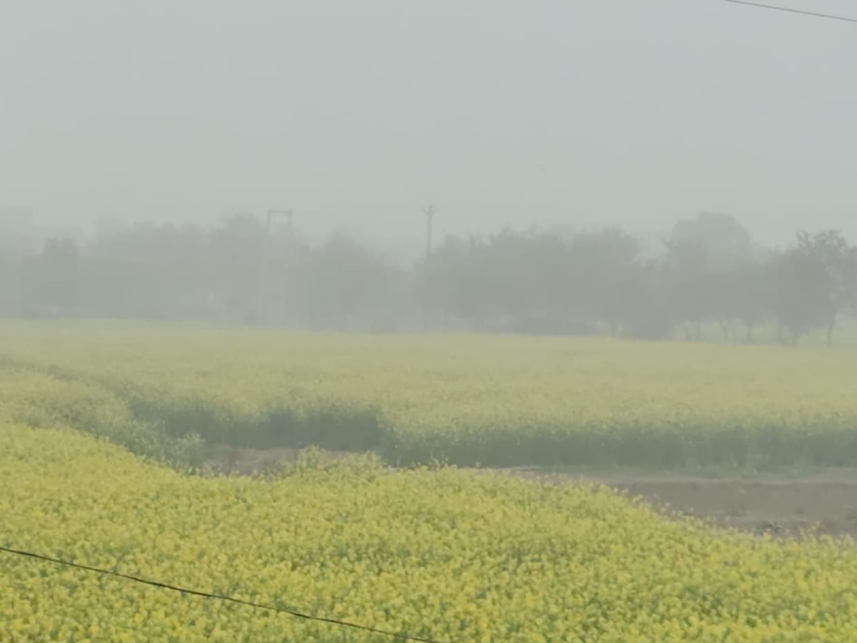 Cold winds blowing at a speed of 9 km per hour increased the chilling cold.