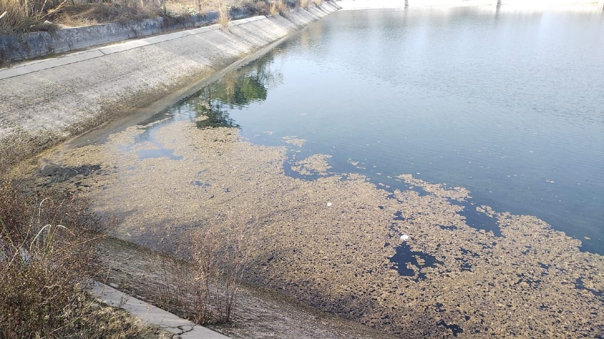 Contaminated water is reaching half of the city's population.