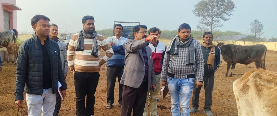 kasganj news cow shelter cold