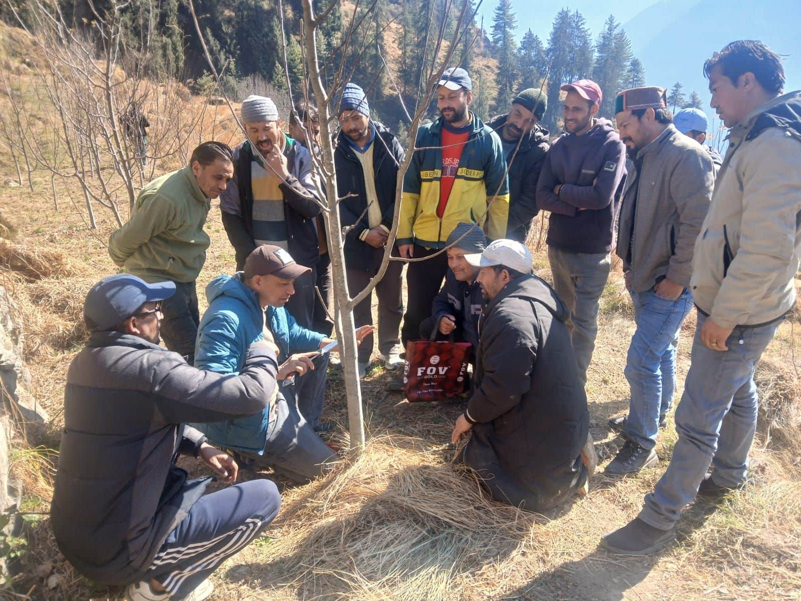 किन्नौर की रूपी पंचायत में बागवानों को सेब प्रबंधन की बारीकियां सिखाते विशेषज्ञ। स्रोत : विभाग