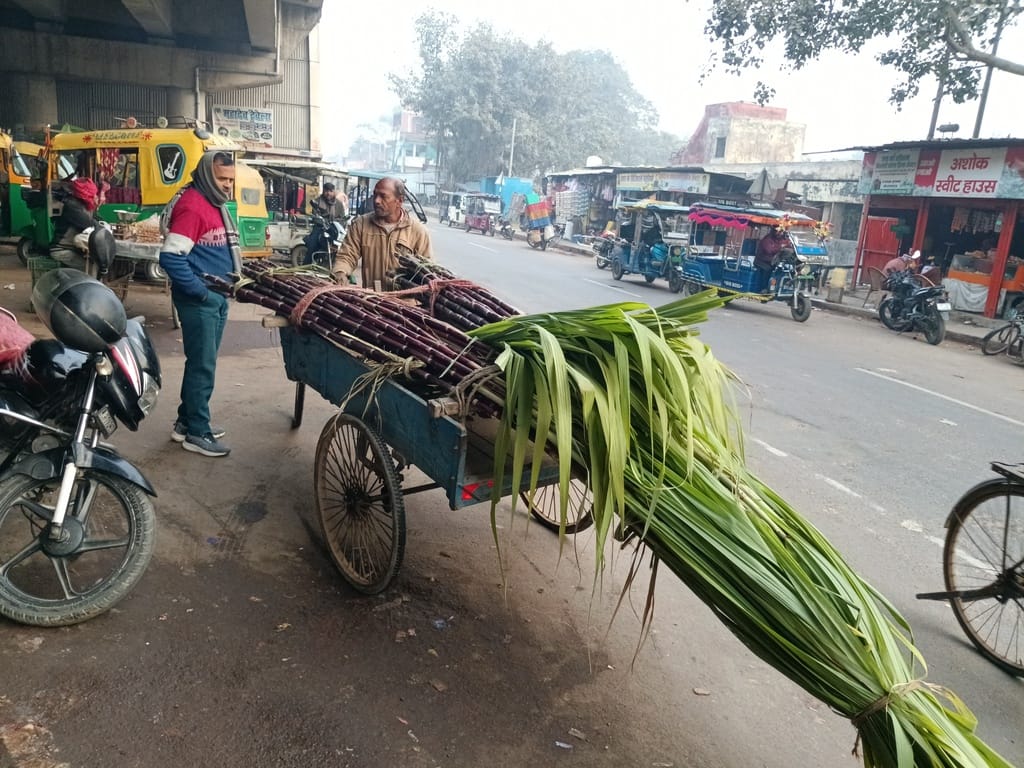On Sankata Chaturthi, guavas were sold at Rs. 80 per kg and a single sugarcane stalk for Rs. 50