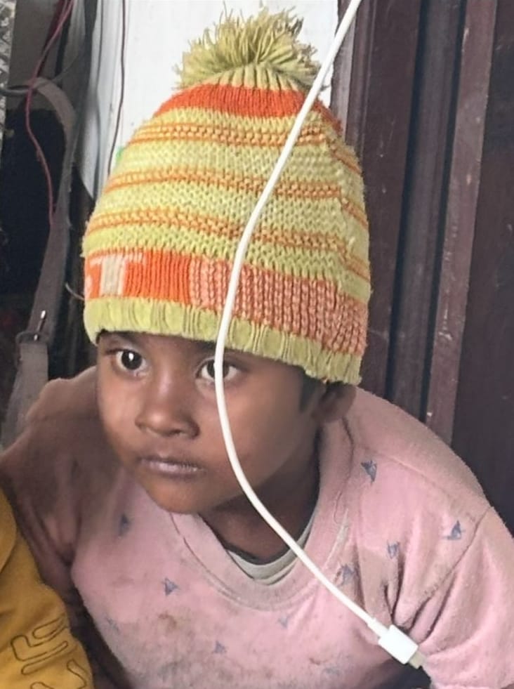 Three-year-old girl mauled to death by dogs