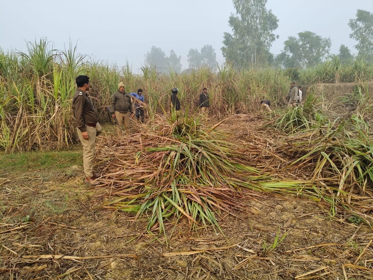 The sugarcane crop will be harvested under the supervision of the Forest Departmen