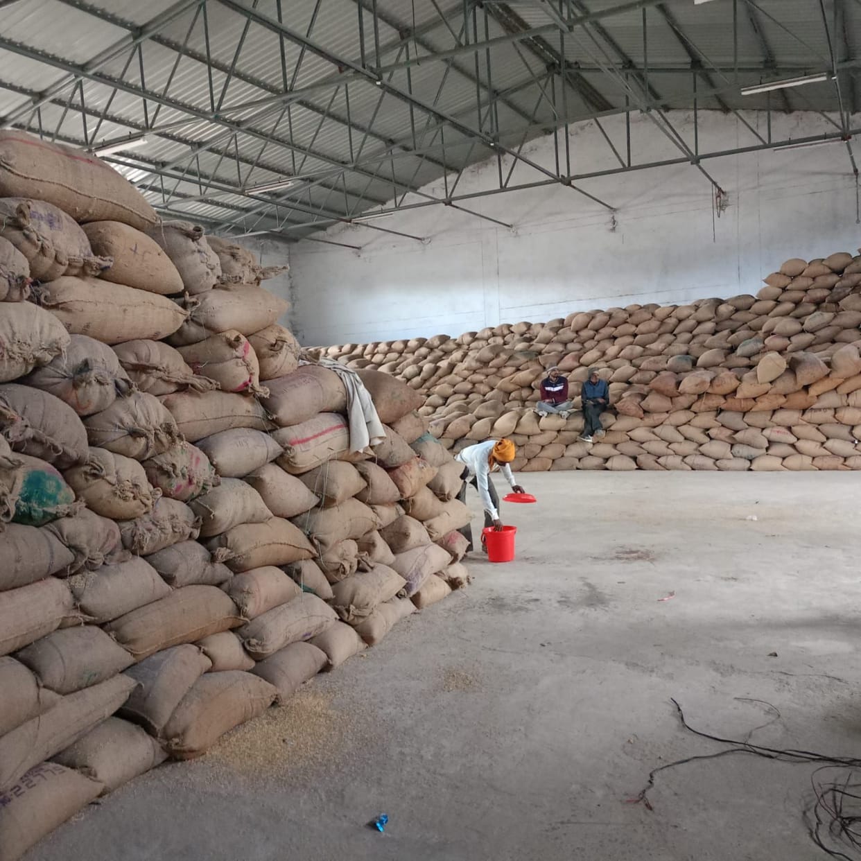 Paddy lifting stalled due to lack of GPS-equipped vehicles