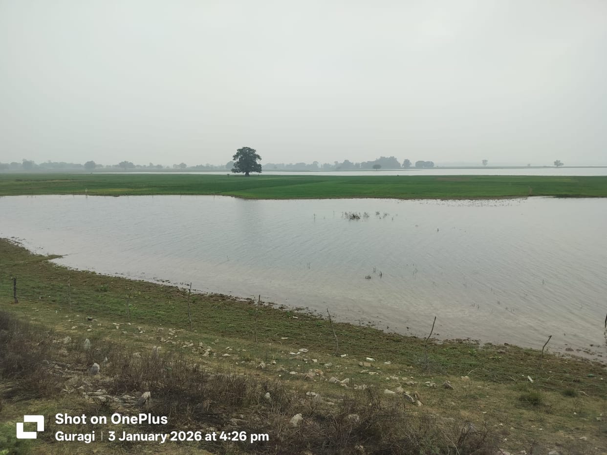 Farmers should get water in the prescribed quantity on time, there should be no negligence