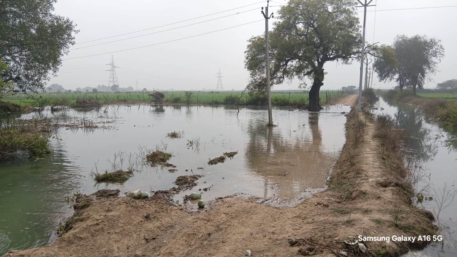 फोटो - 03 माइनर के ओवरफ्लो होने से फसल में भरा पानी। संवाद