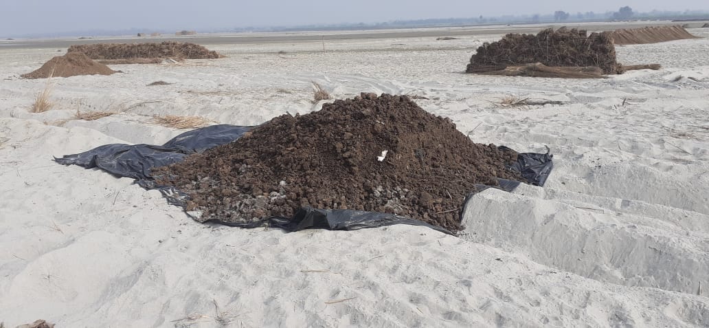Pollution increases due to cultivation of plages in Ganga, dolphin-crocodile projects in danger