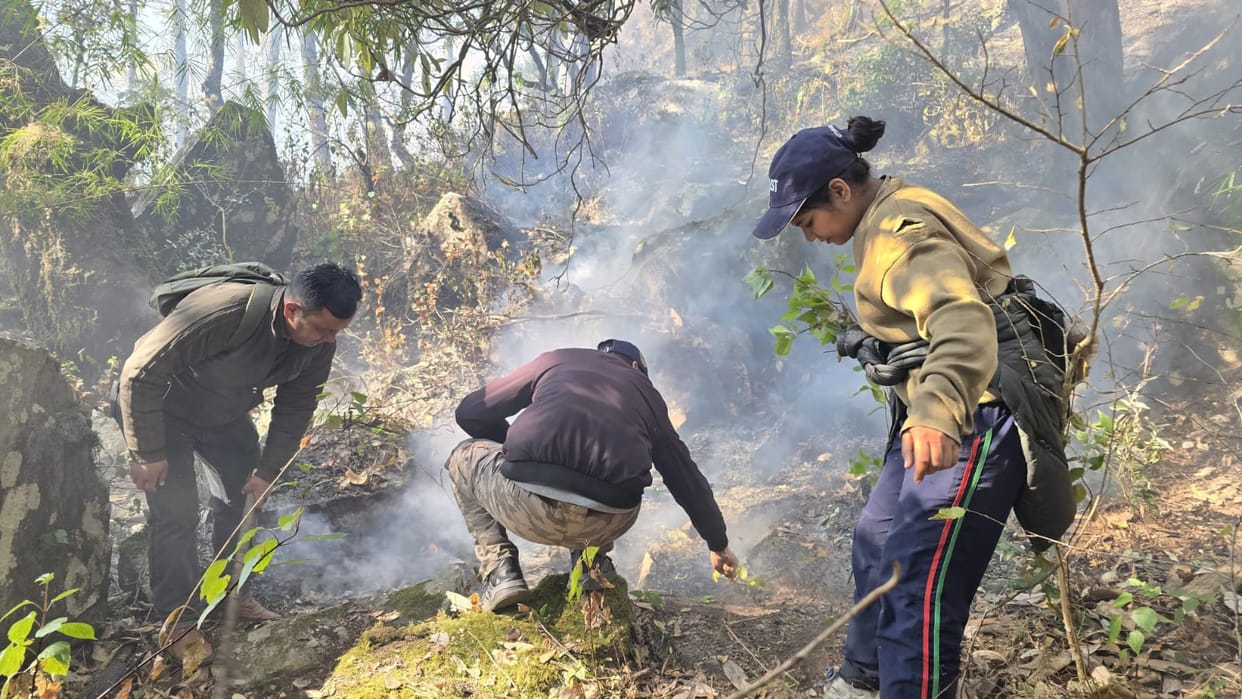 Forests have been burning for two days, destroying several hectares of forest wealth