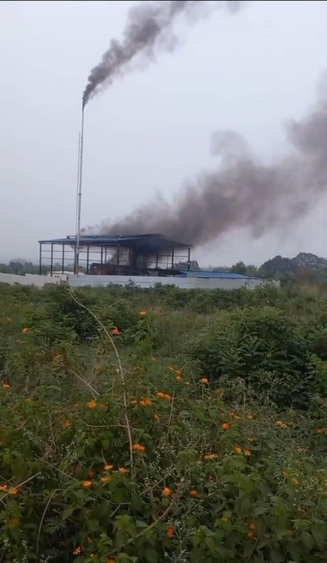 ग्राम पंचायत बाथू में टायर रीसायकल फैक्ट्री से निकलता धूआं।संवाद