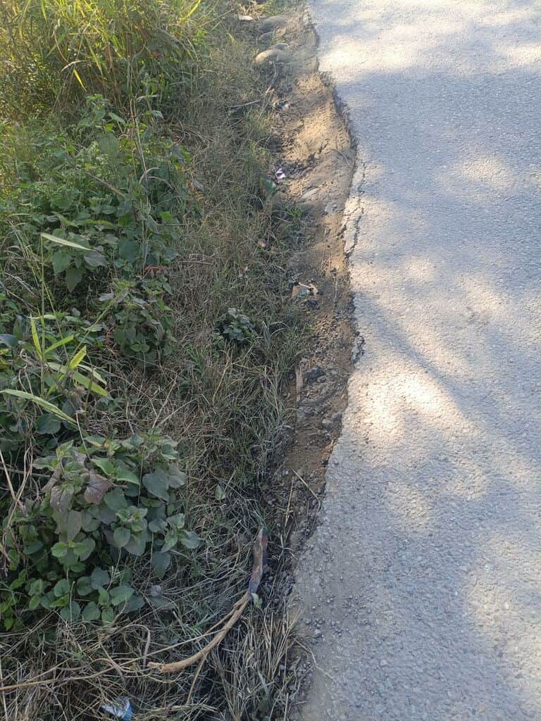 लठियाणी से कोहडरा का जाने वाली सड़क जगह जगह से टूटी हुई ।संवाद