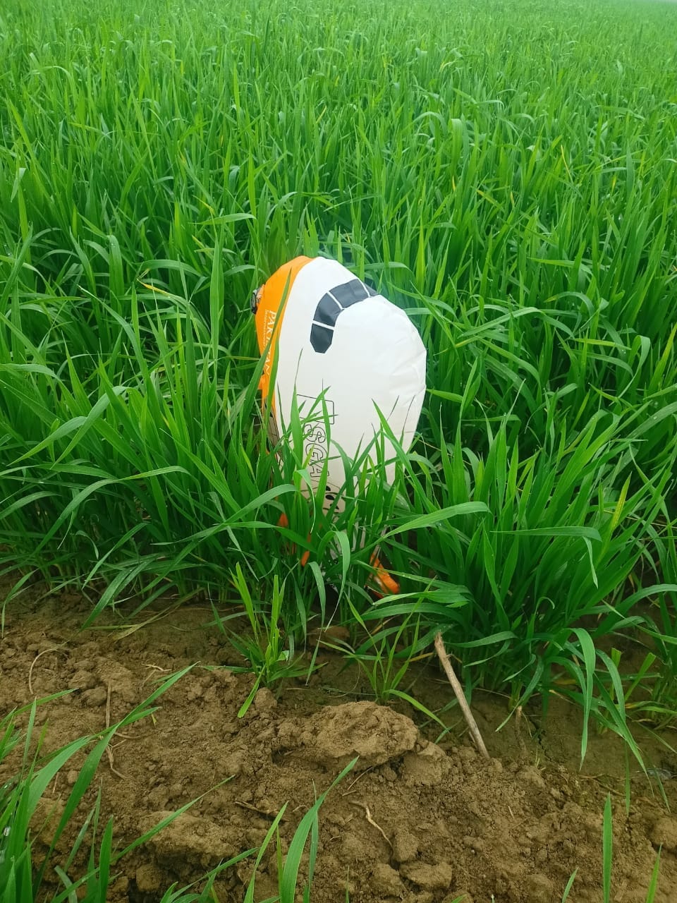 Pakistani balloon found in Matuwala's field, security agencies engaged in investigation