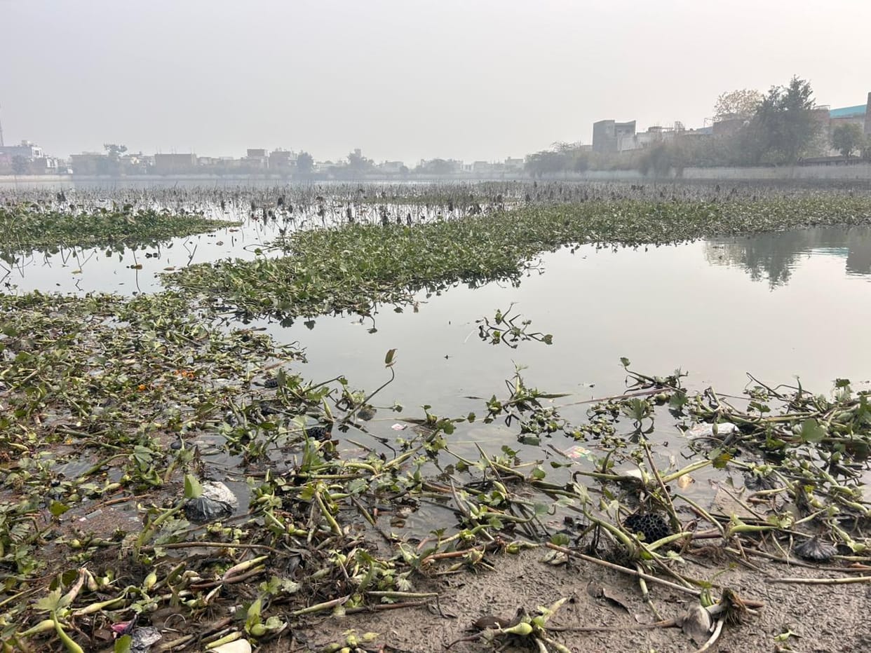 The water tanks in the city are worse than drains, and drug addicts have also made them their dens.