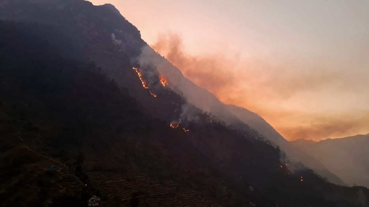 Now the pine forests of Nijmula Valley are burning.