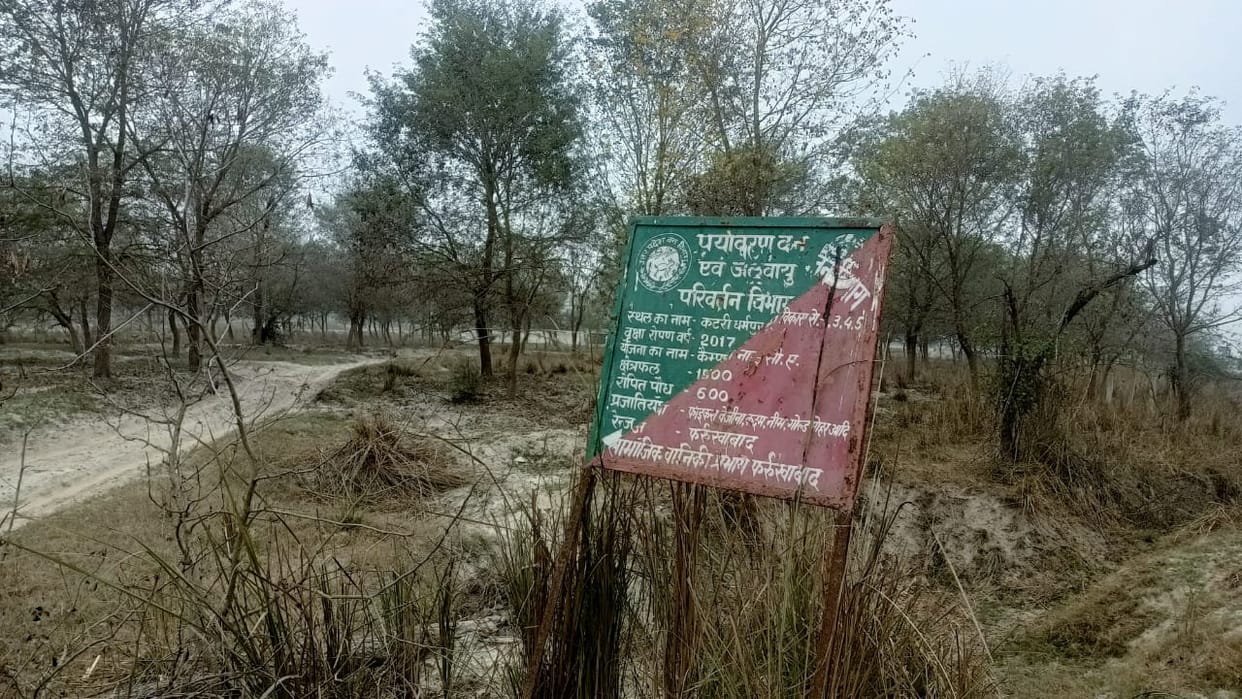 Negligence of Forest Department in Katari Dharampur Forest Area, Hundreds of Sheesham Trees Missing