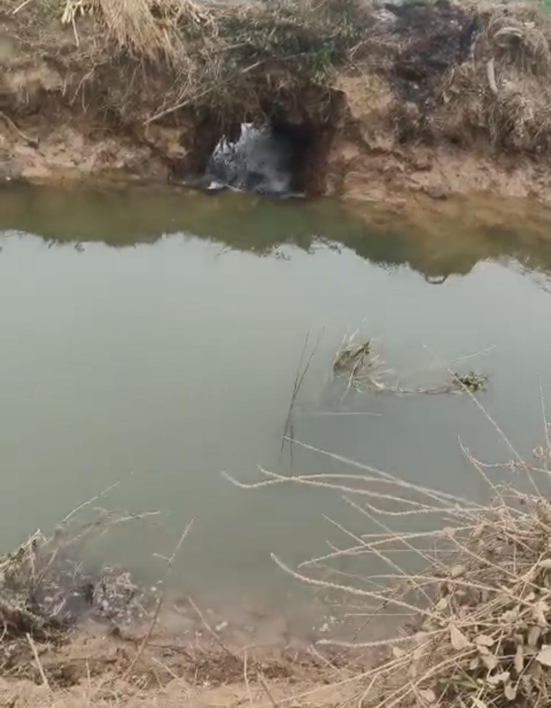 Farmers' crops submerged due to canal breach