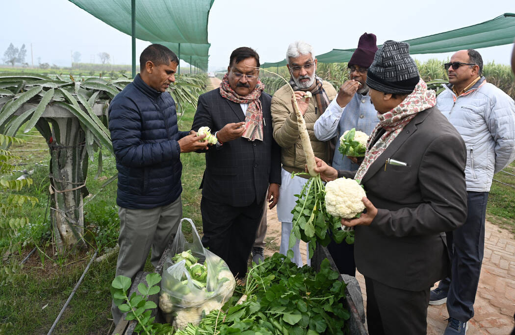 The natural color and quality of the crops captivated the mind