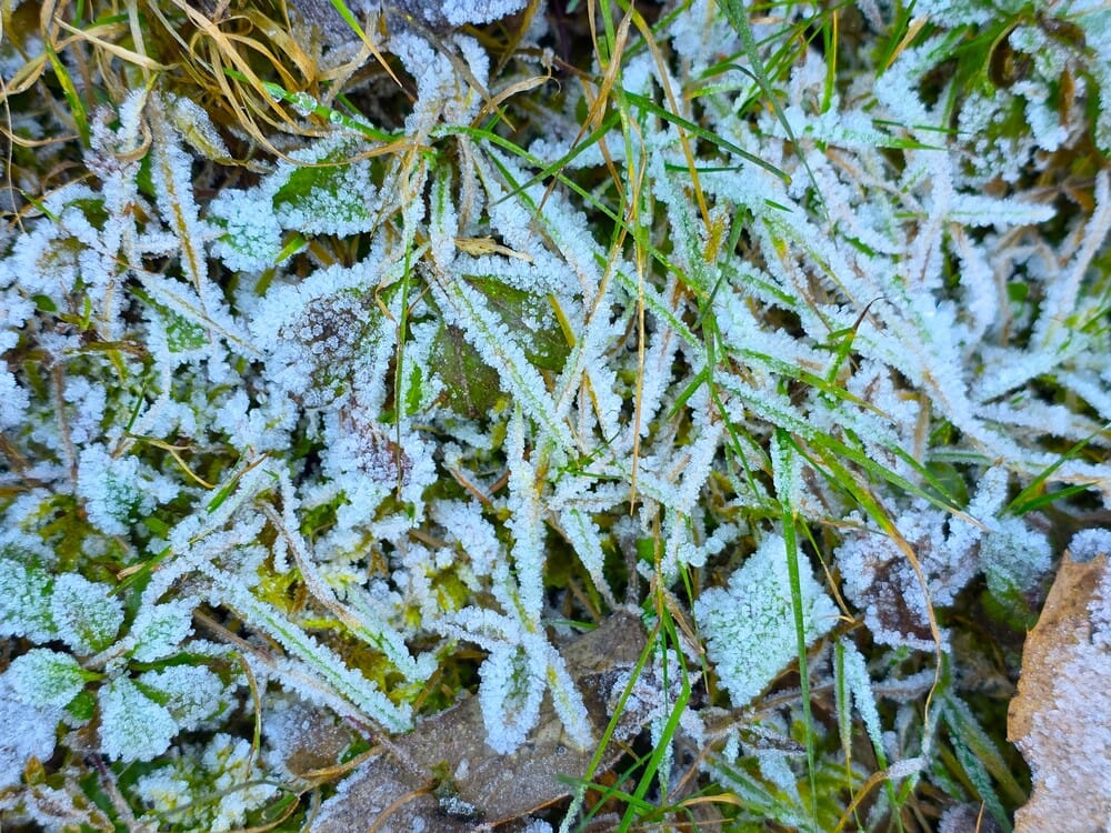 Heavy frost in Mussoorie, vehicles skidding on the road