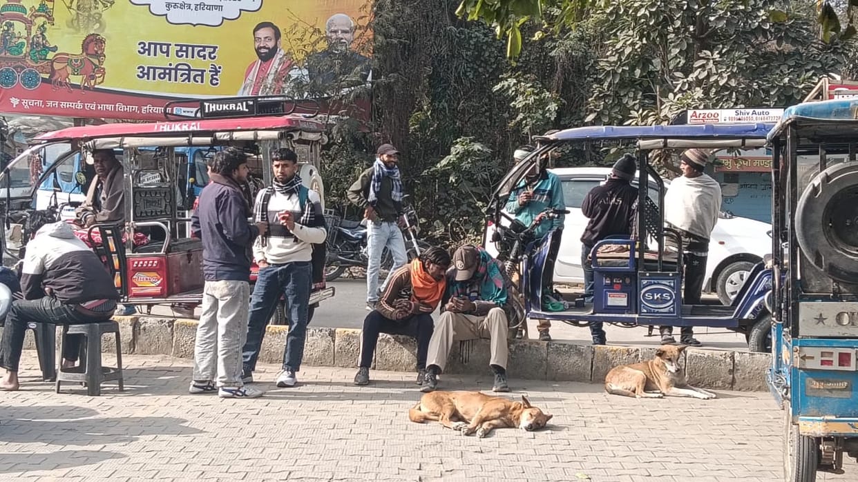 Shelters built after spending lakhs of rupees, but there is not a single dog in them.