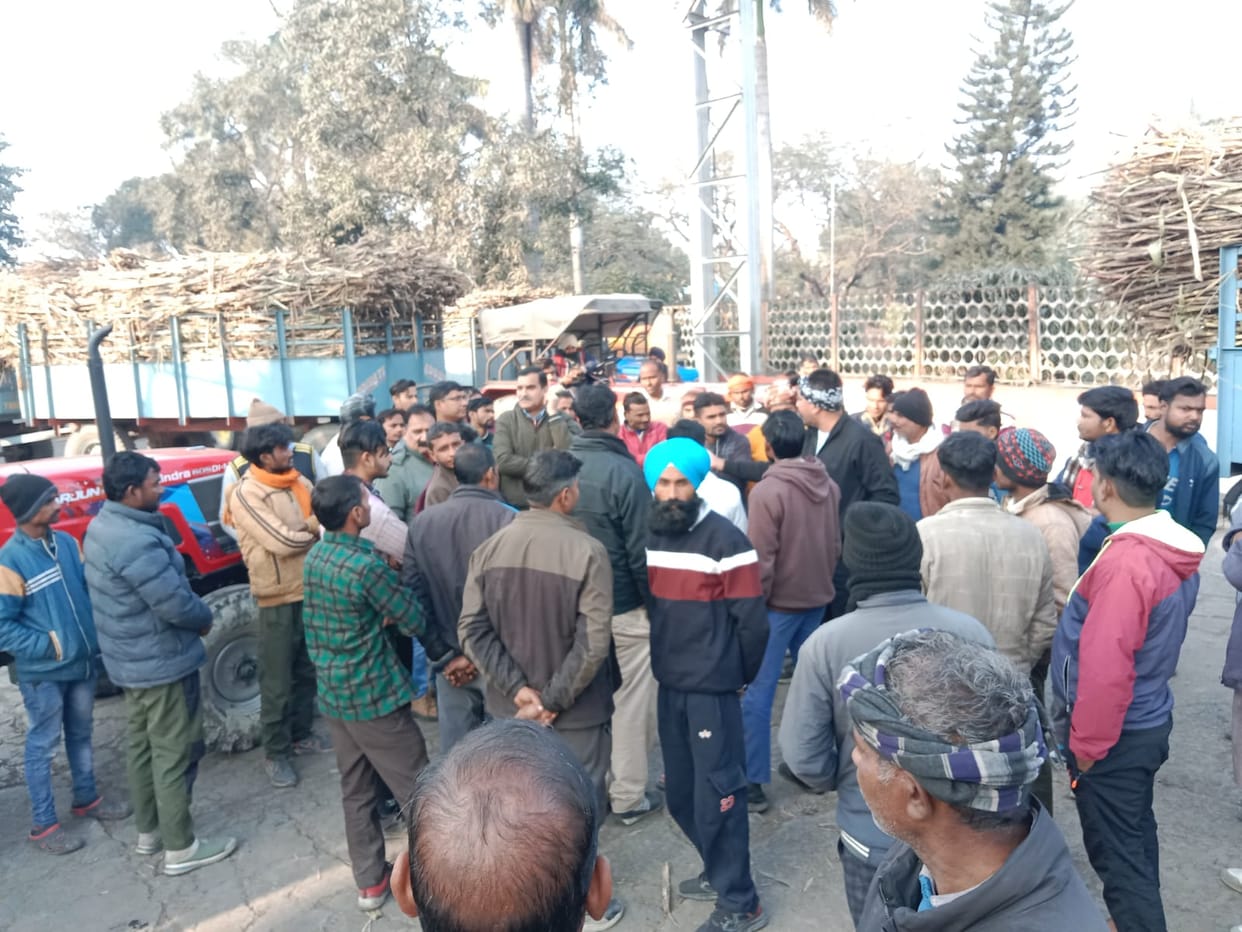 Farmers climbed on the chain carrier, weighing of sugarcane stopped