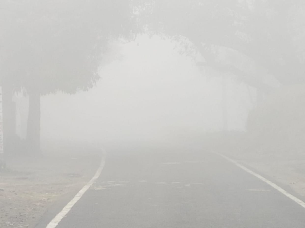 Bettiah bihar news Double attack of cold and fog life disrupted today news in hindi