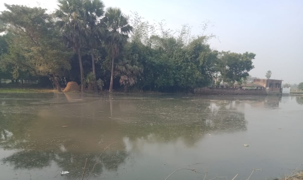 Due to the breach in the canal, about 200 acres of crops of farmers were submerged in water.
