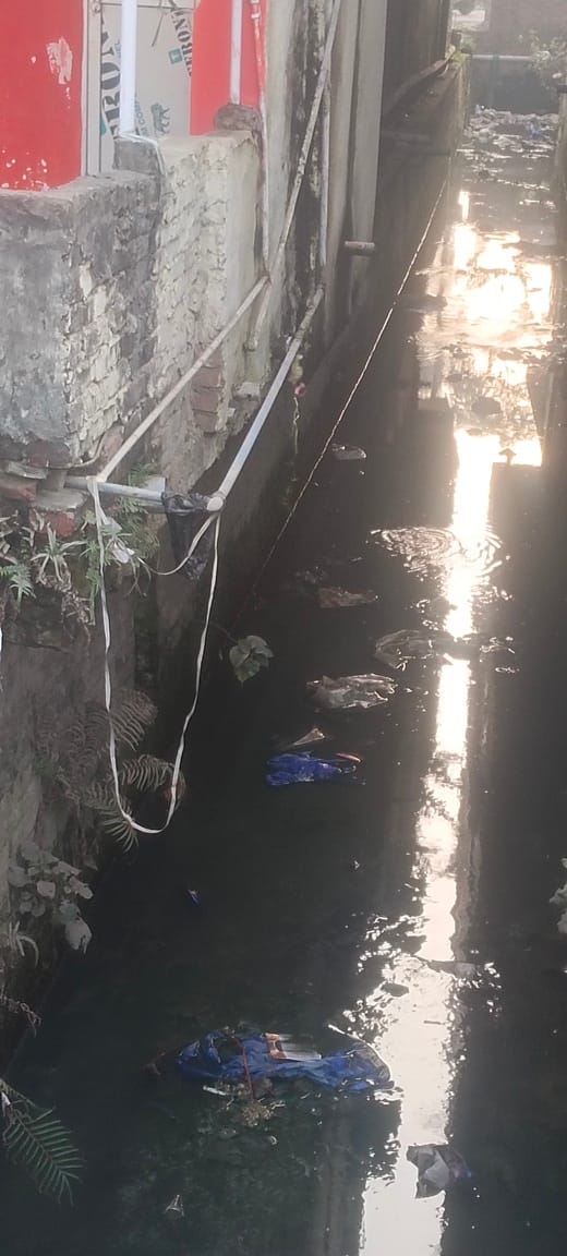 The pipeline runs through the sewers...supplying disease along with the water.