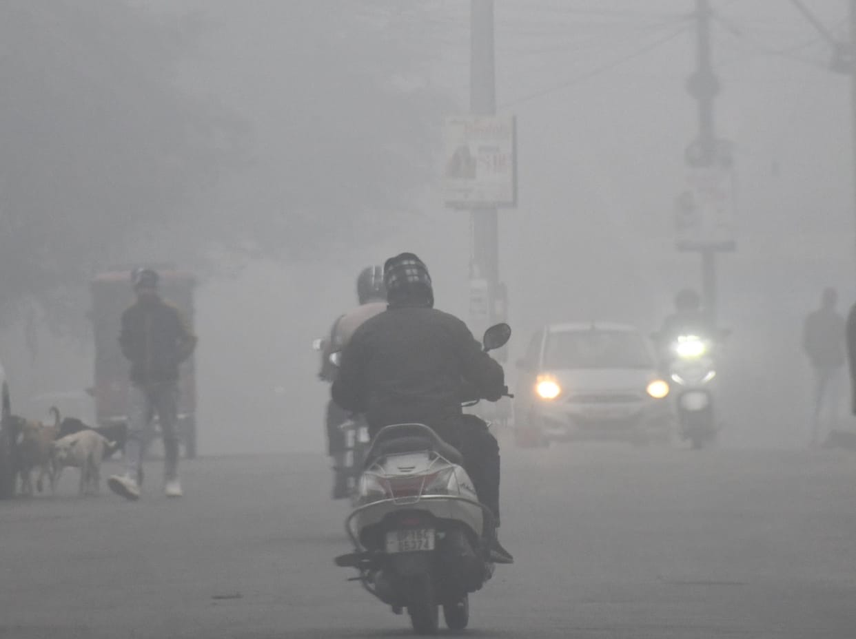West UP Weather Update: Severe Cold and Dense Fog Disrupt Normal Life in Plains