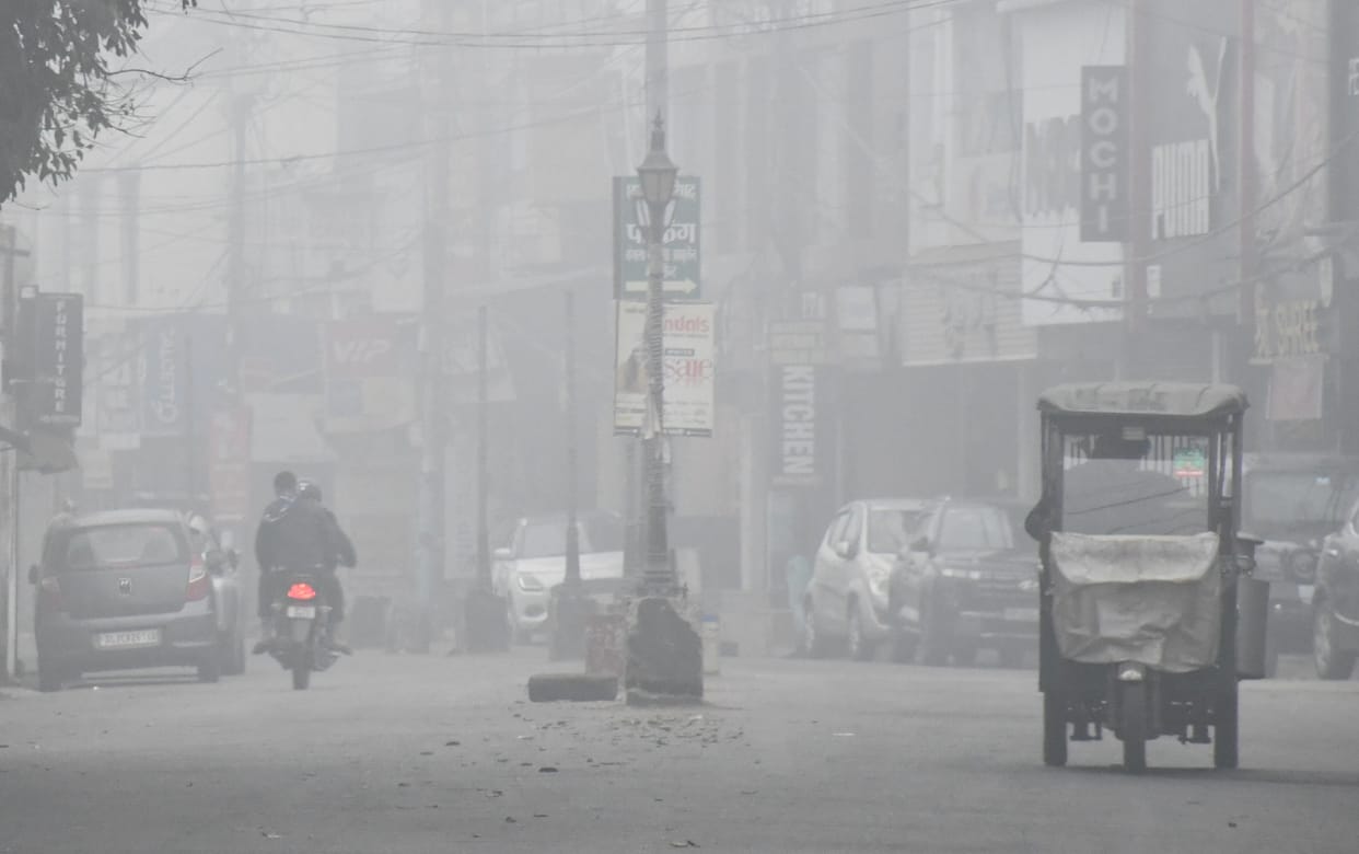 Mercury at 4.3 degrees: City shivered: January 8th night was the coldest in 14 years