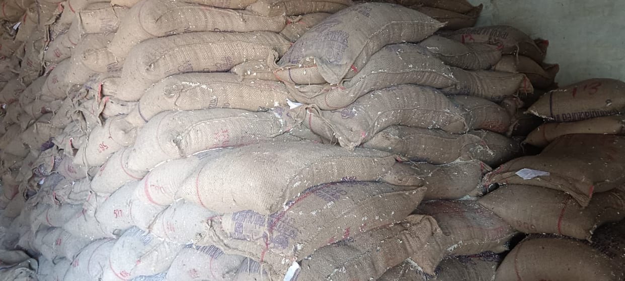 Rotten rice was also found in the main warehouse, insects were seen coming out of the sacks, investigation was initiated.
