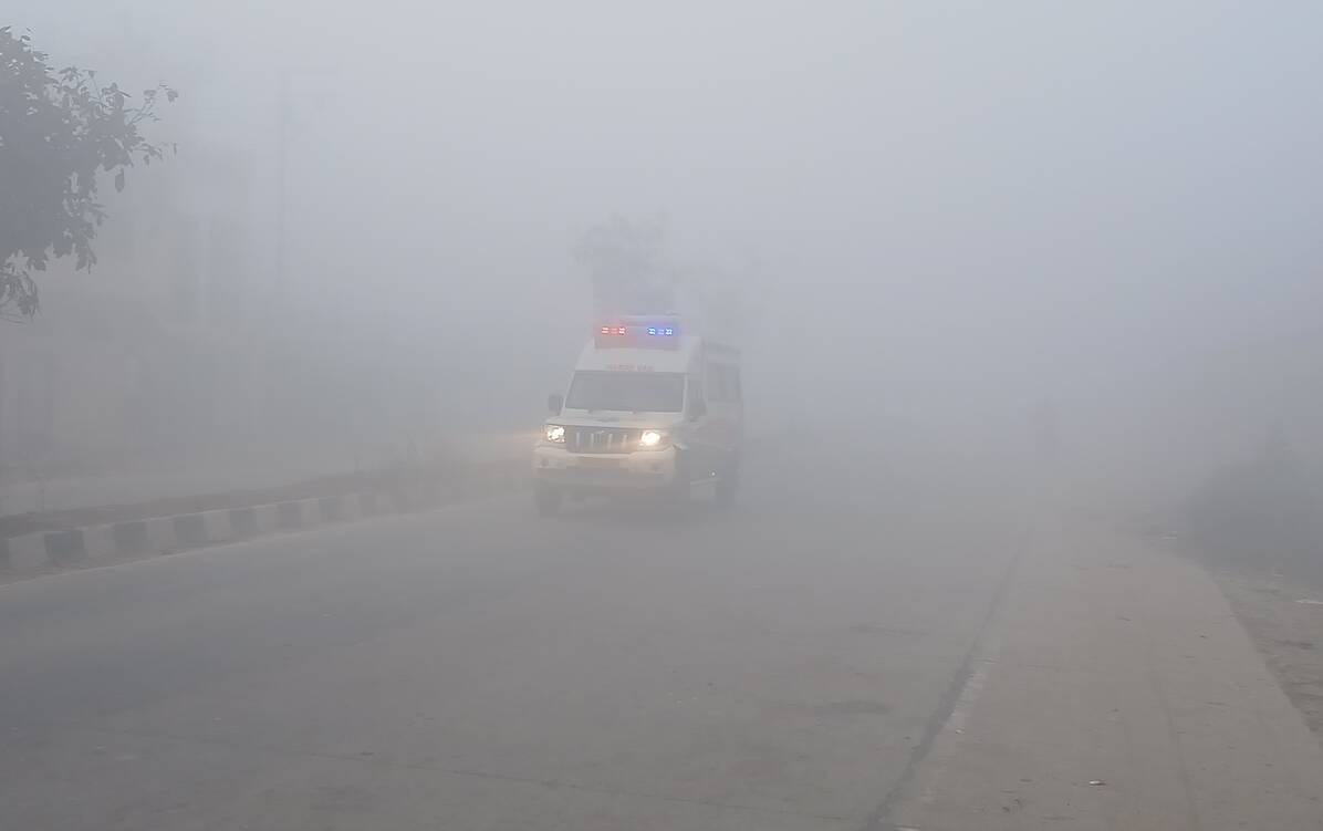 Dense fog in the morning, sunshine in the afternoon brought relief from the cold