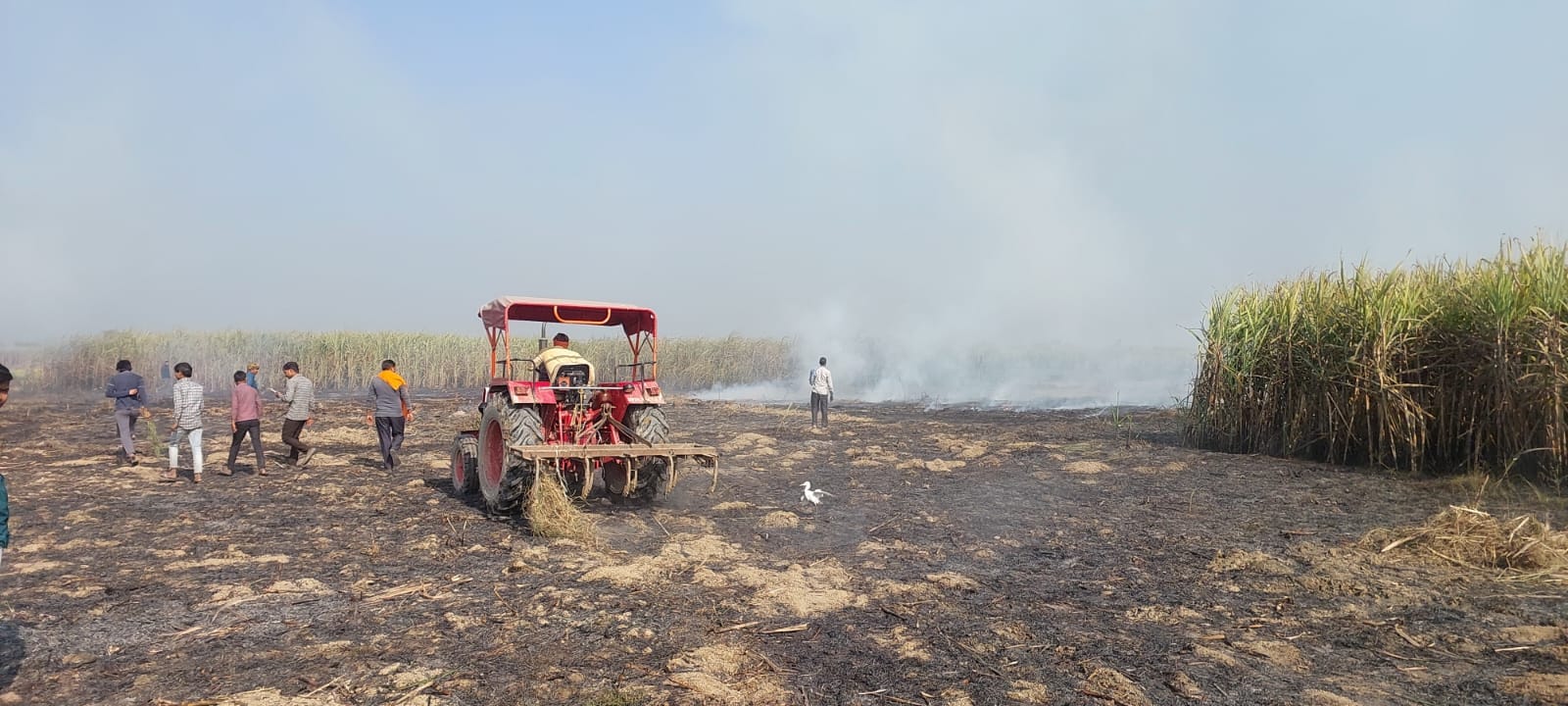 People face the problems.